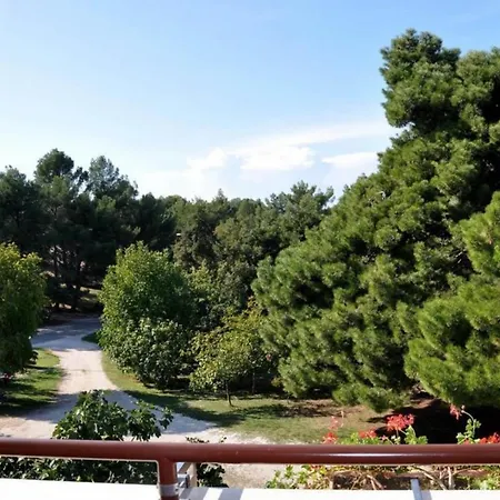 House Ritosa, For Max 8 Persons Area * Poreč
